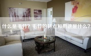 什么是毛竹？毛竹的特点和用途是什么？