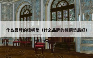 什么品牌的棕榈垫（什么品牌的棕榈垫最好）