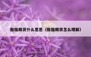 股指期货什么意思（股指期货怎么理解）