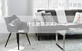 什么是德尔沃？