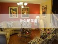 什么是圣象？