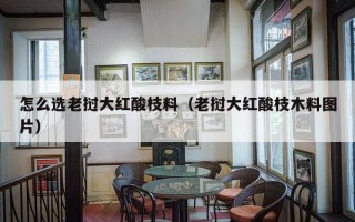 怎么选老挝大红酸枝料（老挝大红酸枝木料图片）