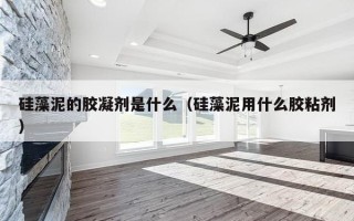 硅藻泥的胶凝剂是什么（硅藻泥用什么胶粘剂）