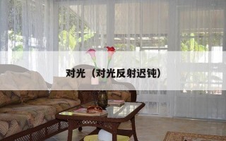 对光（对光反射迟钝）