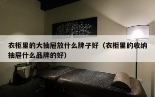 衣柜里的大抽屉放什么牌子好（衣柜里的收纳抽屉什么品牌的好）