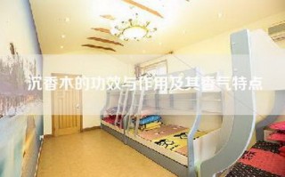 沉香木的功效与作用及其香气特点