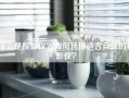 什么是投影仪？如何选择适合自己的投影仪？