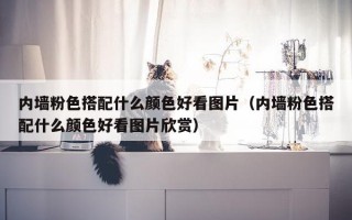 内墙粉色搭配什么颜色好看图片（内墙粉色搭配什么颜色好看图片欣赏）