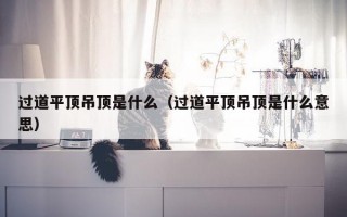 过道平顶吊顶是什么（过道平顶吊顶是什么意思）