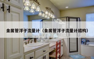 金属管浮子流量计（金属管浮子流量计结构）