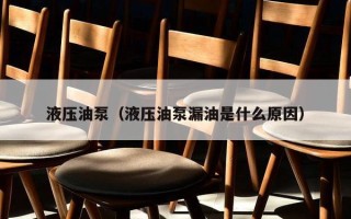 液压油泵（液压油泵漏油是什么原因）