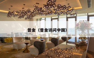 普金（普金访问中国）