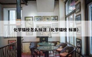 化学锚栓怎么标注（化学锚栓 标准）