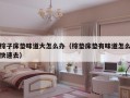 棕子床垫味道大怎么办（棕垫床垫有味道怎么快速去）