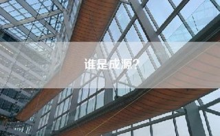 谁是成源？