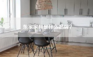 东家家具是什么品牌？