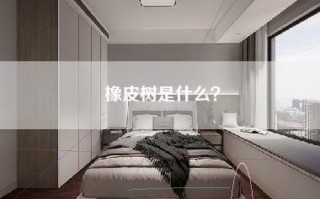 橡皮树是什么？