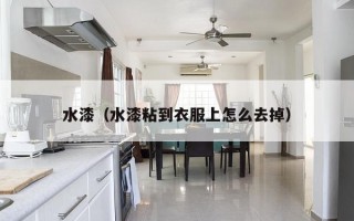 水漆（水漆粘到衣服上怎么去掉）