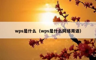 wps是什么（wps是什么     用语）