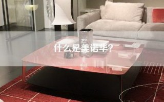 什么是美诺华？