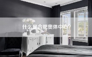 什么是合肥奥体中心？