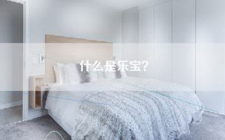 什么是乐宝？