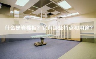 什么是岩棉板？它有哪些特点和用途？