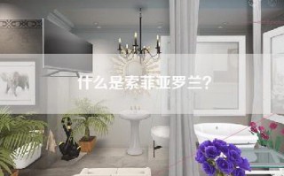 什么是索菲亚罗兰？