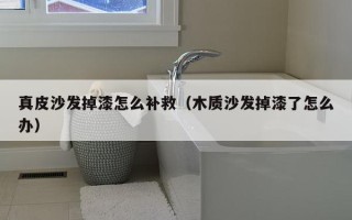 真皮沙发掉漆怎么补救（木质沙发掉漆了怎么办）