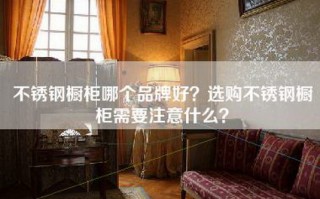 不锈钢橱柜哪个品牌好？选购不锈钢橱柜需要注意什么？