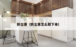 防尘塞（防尘塞怎么取下来）