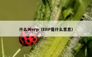 什么叫erp（ERP是什么意思）