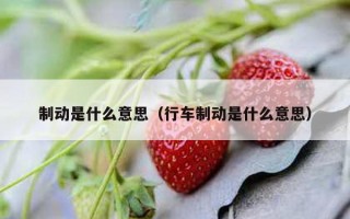 制动是什么意思（行车制动是什么意思）