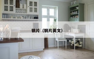 钢片（钢片英文）