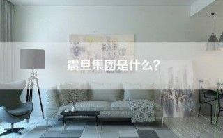 震旦集团是什么？