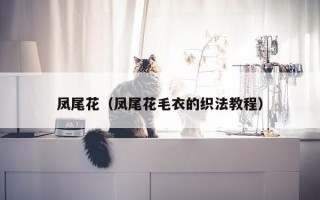 凤尾花（凤尾花毛衣的织法教程）