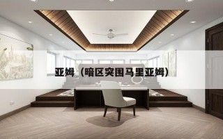 亚姆（暗区突围马里亚姆）