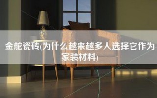 金舵瓷砖(为什么越来越多人选择它作为家装材料)