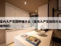 室内入户花园种植什么（室内入户花园放什么植物好）