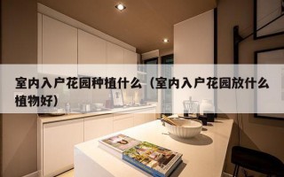 室内入户花园种植什么（室内入户花园放什么植物好）