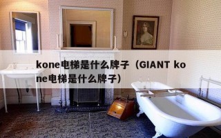 kone电梯是什么牌子（GIANT kone电梯是什么牌子）