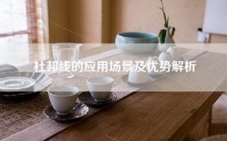 杜邦线的应用场景及优势解析