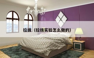 拉拔（拉拔实验怎么做的）