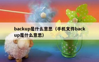 backup是什么意思（手机文件backup是什么意思）