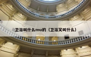 卫浴叫什么mu的（卫浴又叫什么）