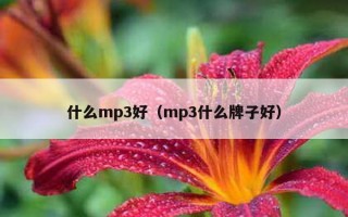 什么mp3好（mp3什么牌子好）