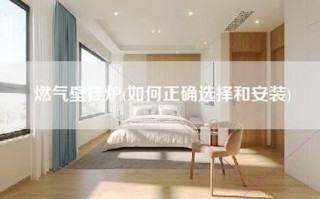 燃气壁挂炉(如何正确选择和安装)
