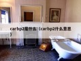 carbp2是什么（carbp2什么意思）