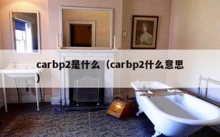 carbp2是什么（carbp2什么意思）