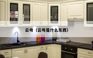 云母（云母是什么东西）